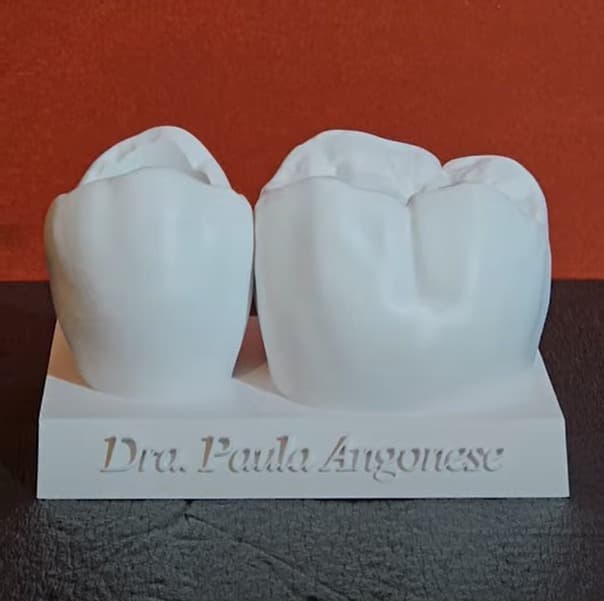 Porta-Cartões para Dentista